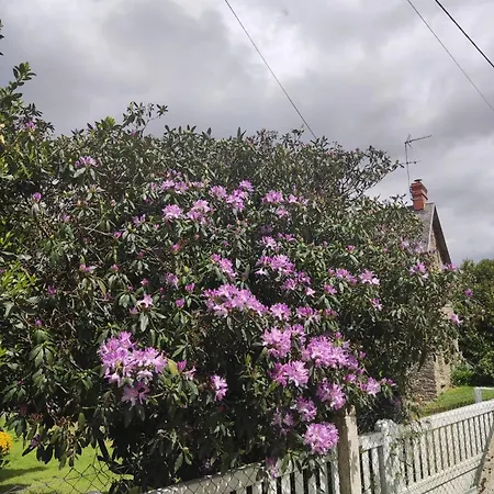 Nocleg ze śniadaniem Marianne D'hotes 3*