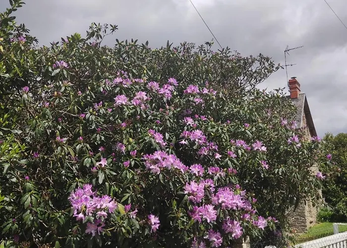 Bed and Breakfast Marianne D'hotes 3*